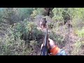 Heyecan dolu Omak Osmaneli yaban domuzu avı / Wildboar hunting in Turkey