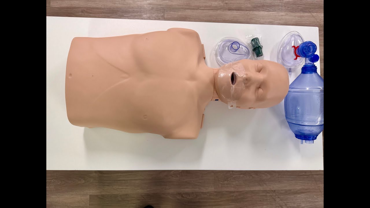 CPR & AED Review (2025 AHA Guidelines) | Airway Basics, OPA & NPA