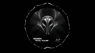 Domek  Mental Pulse original Mix