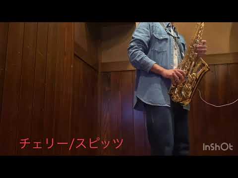 【参考演奏動画】チェリー/スピッツ Saxophone covered by TAKUMIX