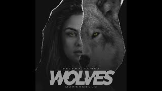 Selena gomez - wolves (acoustic ...