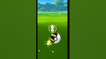 ✨ Shundo (Shiny+100IV) Eevee Was Catch✨ ! Pokemon Go