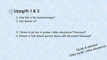 Vilka attityder finns till den språkliga variationen du valt?