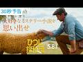 ＜🐏ヒューとひつじたちの深い絆💞＞ 映画『ひつじ探偵団』 30秒予告／5月8日（金）全国の映画館で公開🍀
