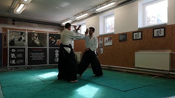 [TUTORIAL] Aikido: Tanto dori yokomen uchi shihonage, udekimenage, koshinage