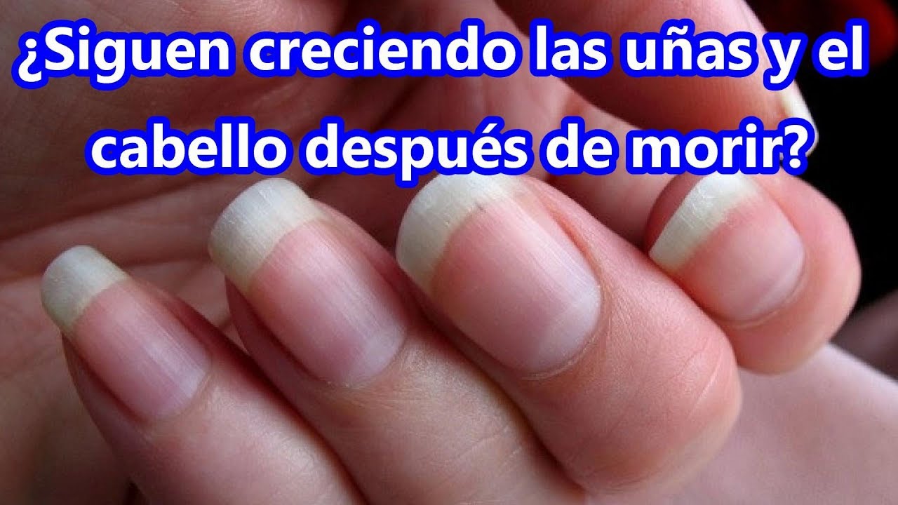 Cuando Mueres Te Sigue Creciendo El Pelo Y Las Uñas