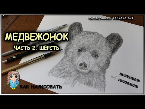 Как нарисовать шерсть медвежонка карандашом. Часть 2. Поэтапное рисование