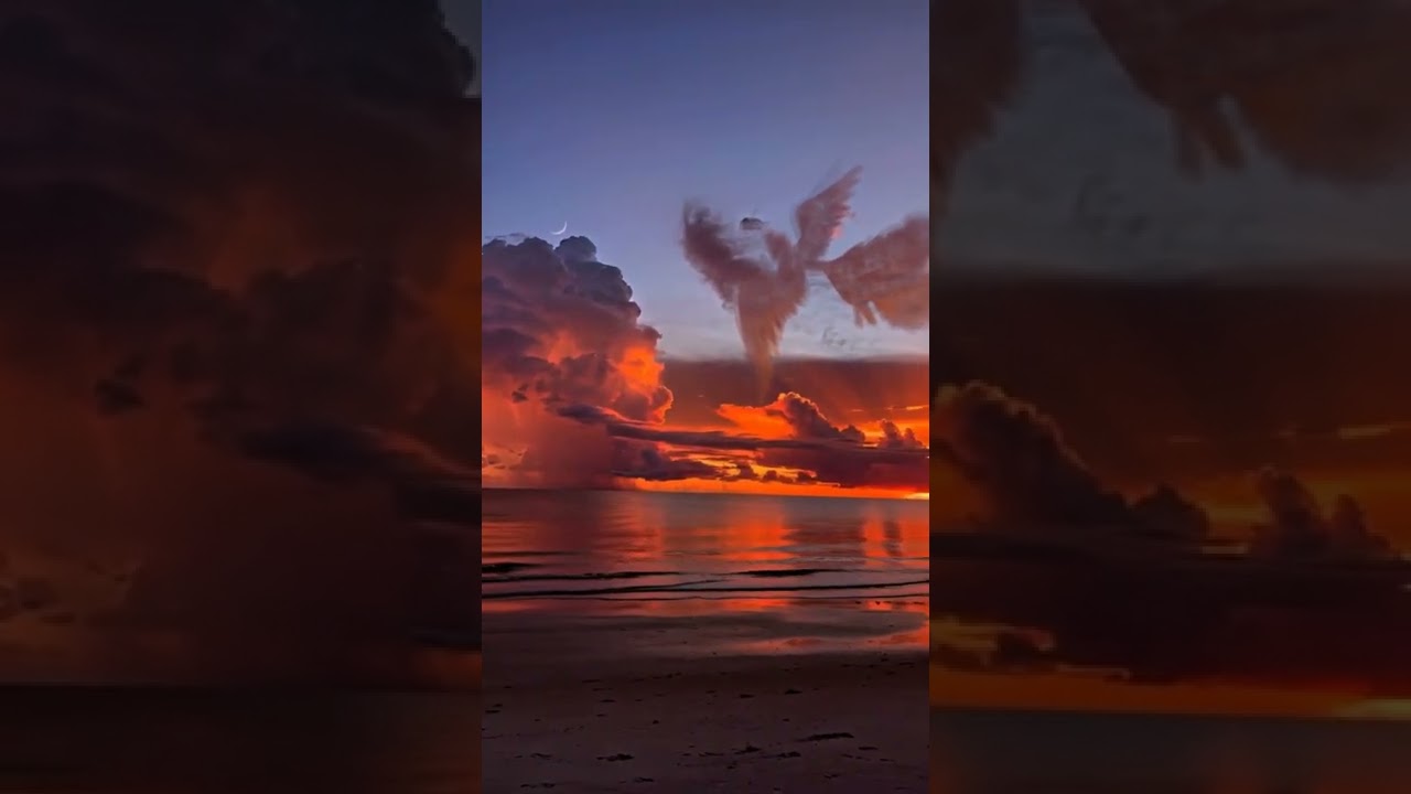 have you seen the emerald phoenix #painfulsongs #sunset #ocean #shorts #phantogram #goodvibes #vibes bekijken op YouTube have you seen the emerald phoenix #painfulsongs #sunset #ocean #shorts #phantogram #goodvibes #vibes bekijken op YouTube