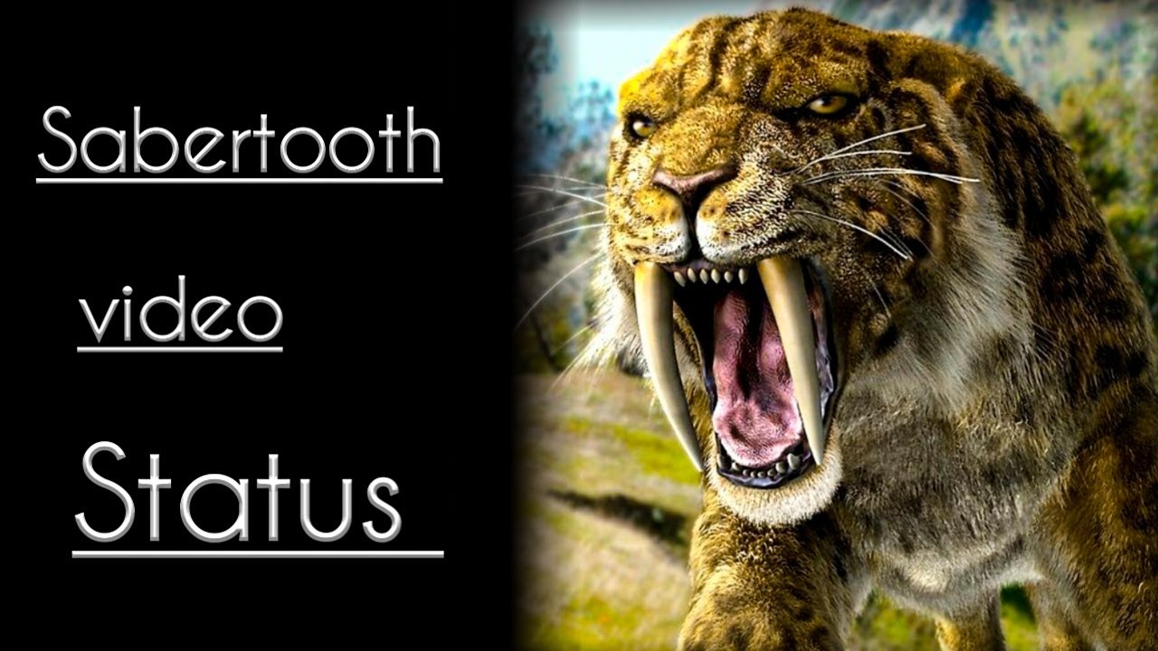 Sabertooth status.. Monster Status HD.😈 Angry Lion 🦁 Video .! New ...
