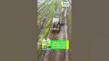 Nông dân chia sẻ diệt cỏ đạt hiệu quả 95% bằng bộ đôi SUPER-BU 60EC và CANTANIL 550EC #shorts