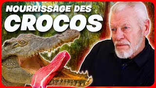 Alli & Gator Pent A Table