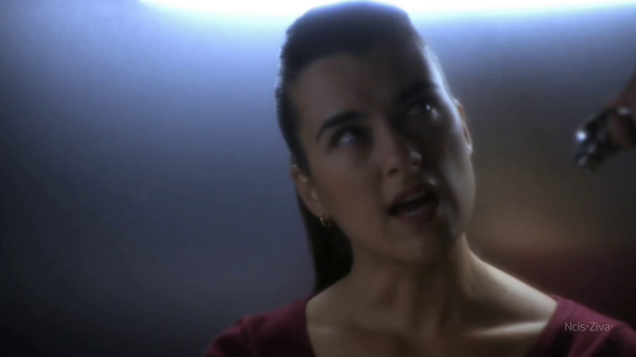 Ncis || McGee and Ziva are stuck in the elevator