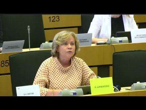 რას ნიშნავს დეოლიგარქიზაცია და ვინ არის ოლიგარქი, \"ოცნებას\" ევროპარლამენტიდან მკაფიოდ განუმარტეს