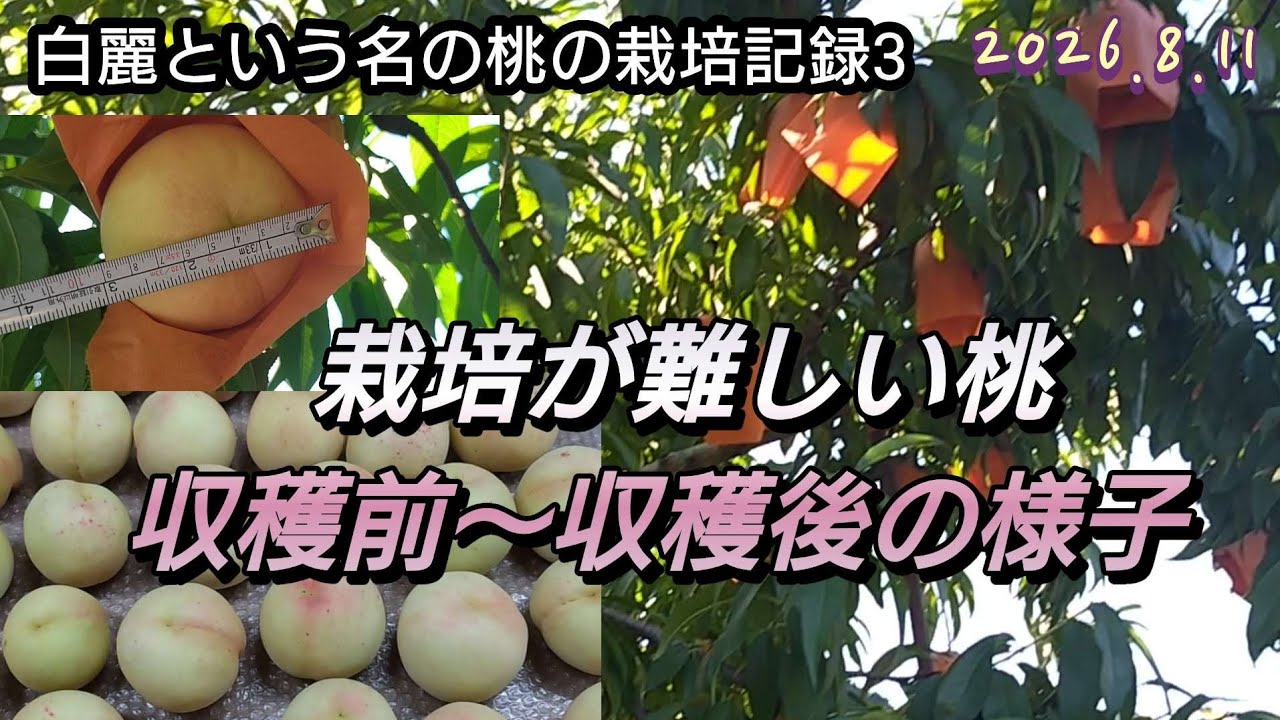 Untitled - YouTube