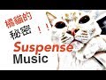 橘貓選歌3 橘橘的秘密歌曲 懸疑音樂 Suspense music