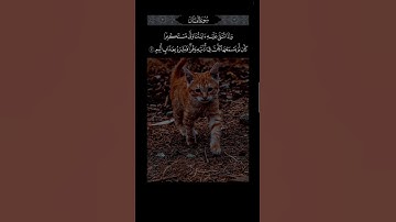 إحترام القران الكريم ولو 15 ثانية🖐🏻