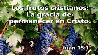 Sermones en Español - Juan 15 - Los Frutos Cristianos ... la Gracia de Dios