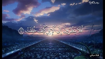 فجرية رعد الكردي  بمقام العجم   من سورة الغاشية 🤍راحة نفسية🤍✨حالات واتس اب قرآن _ ستوريات انستا 🤍✨