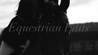 Love Is Gone~ Equestrian Music Video
