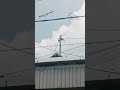 #helpmemakethismakesense