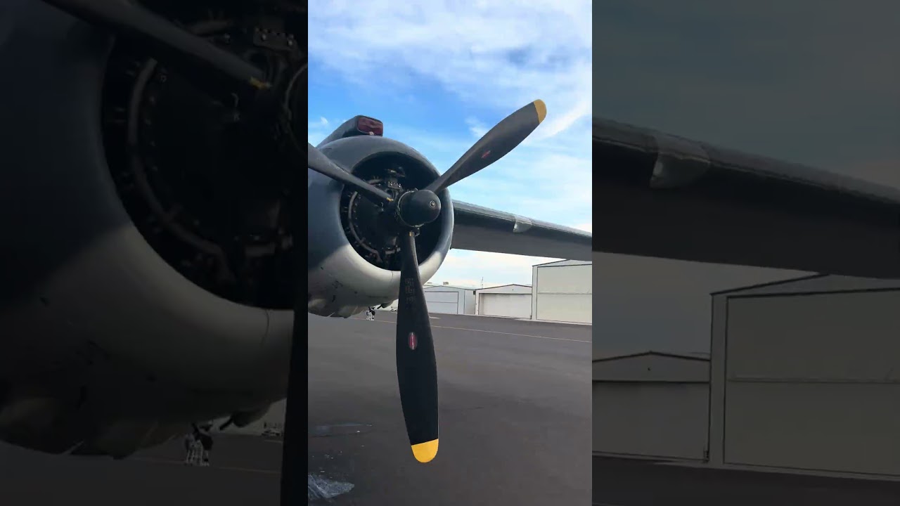 PBJ-1J Mitchell walk-around 