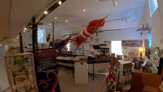 Cold Spring Harbor Whaling Museum & Education Center - Drone Tour