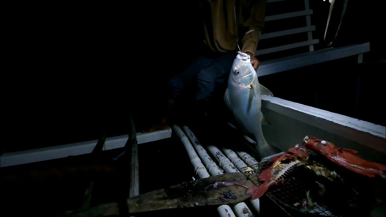 Night fishing#6 lipte - YouTube