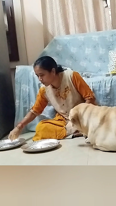 🔥ivalavu ariva irundha enna panradhu💥 #shorts #funnypets #dogshorts #funniestanimals #petvideos #yt