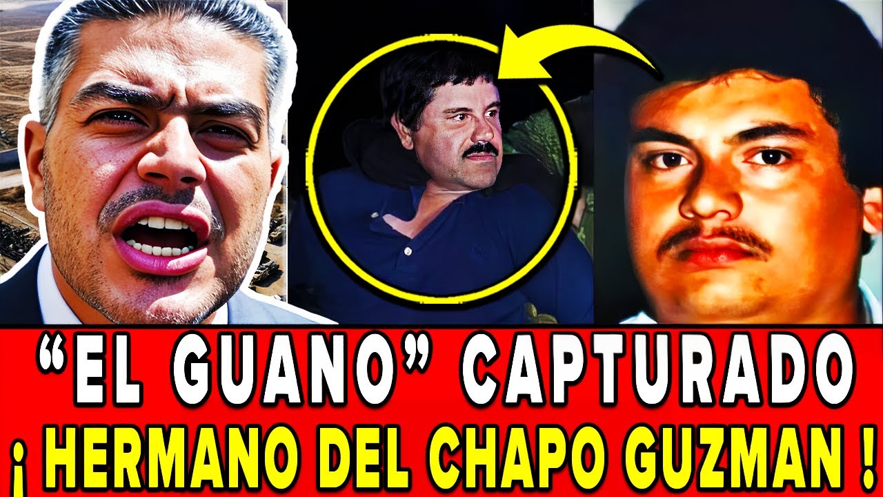 🔴 ¡HARFUCH CAPTURA a "EL GUANO" HERMANO del CHAPO GUZMAN en DURANGO con CONVOY del EJERCITO!