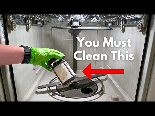 How To Clean A Dishwasher: Sparkle & Shine Tips!