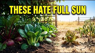 10 Vegetables That Thrive In Shade Without Sun