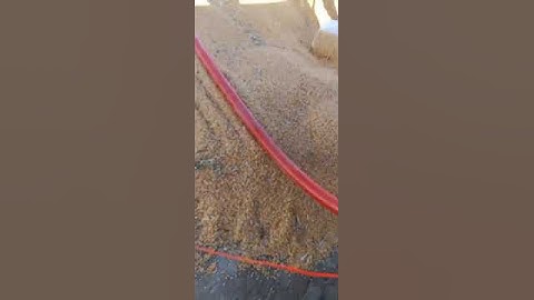 Corn kernels Hose Grain Auger Conveyor