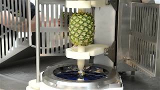 Atlas Pacific FC15 Fruit Chunker