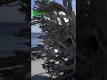 Watch: Scenes of Little Talbot State Park in Jacksonville, Florida #shorts