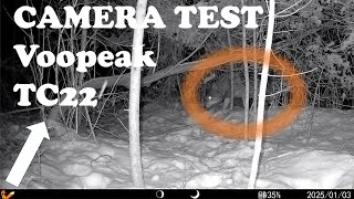 Testing the Voopeak TC22 model Trail Camera | Winter Predators |