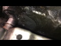 How to remove the alternator 98 99 00 01 02 Saab 9-3