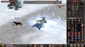 Metin2 UK TS killing nine tails without polymorph