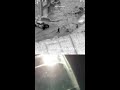 Spotted from above, arrested below.