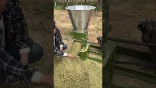 Diesel Engine Pig Chicken Granulator Pellet Making Machine #Youtubeshorts #Farming