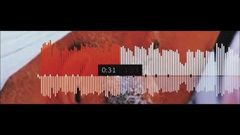 وأن الله يبعث من في القبور 🍁🍁تلاوة مؤثرة بصوت القارئ عبدالرحمن مسعد😍من سورة الحج❤