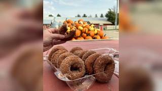 Central Iowas Center Grove Orchard diving into fall