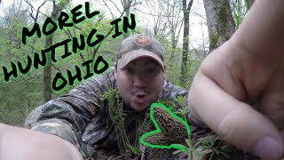 MOREL mushroom HUNTING in Ohio ( awesome day )