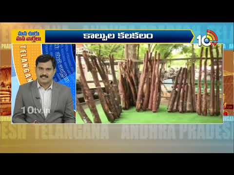 Telangana and AP Political and General News Updates | Mana Ooru Mana Varthalu | 24-09-2026 | 10TV - 10TVNEWSTELUGU