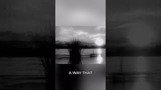 Time Flies Are You Spending It Wisely?