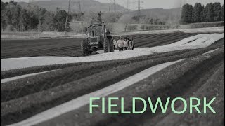 A Day In The Life Of - Vegetable Farm Work