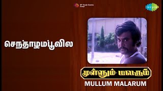 செந்தாழம்பூவில் | Mullum Malarum | K.J. Yesudas Songs | Rajinikanth | Shobha | Sarath Babu