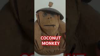 COCONUT MONKEY #satisfying #short #funny #video #shortvideo #youtubeshorts #amazing #face #italy