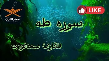 طه ما انزلنا عليك القران لتشقي❤ سوره  طه(رب اشرح لي صدري ويسر لي امري) للقارئ سعد فريجه@quranperfume