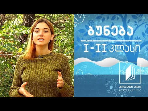 ვიდეო: ბლუბუნჩ ხორბლის ბალახის ფაქტები: ინფორმაცია ხორბლის ბალახის გაშენების შესახებ