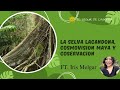 #7 Biología y conservación en la Selva Lacandona